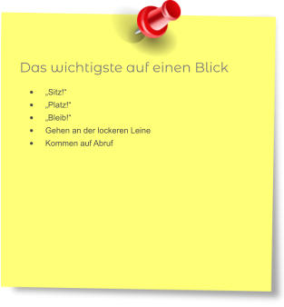 Das wichtigste auf einen Blick •	„Sitz!“ •	„Platz!“ •	„Bleib!“ •	Gehen an der lockeren Leine •	Kommen auf Abruf