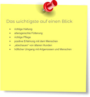 Das wichtigste auf einen Blick •	richtige Haltung •	altersgerechte Fütterung •	richtige Pflege •	positive Erfahrung mit dem Menschen •	„abschauen“ von älteren Hunden •	höflicher Umgang mit Artgenossen und Menschen