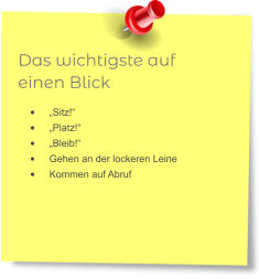 Das wichtigste auf einen Blick •	„Sitz!“ •	„Platz!“ •	„Bleib!“ •	Gehen an der lockeren Leine •	Kommen auf Abruf